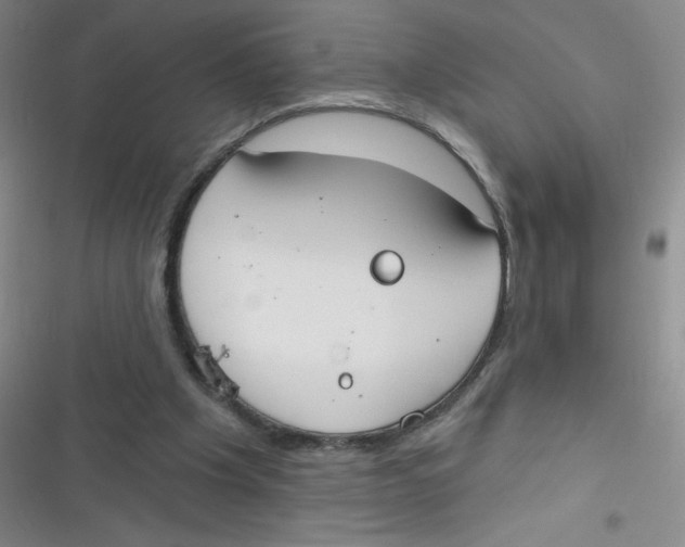 X0000116830201201001081445