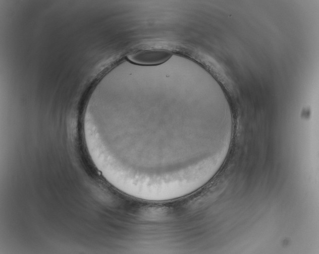 X0000116830202201001081445