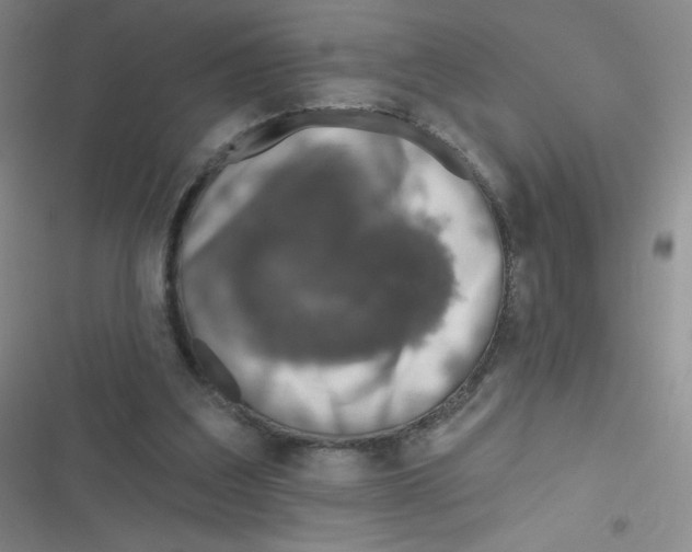 X0000116830203201001081445