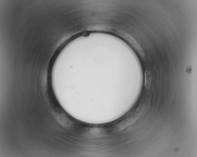 X0000116830204201001081445