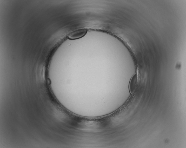 X0000116830205201001081444