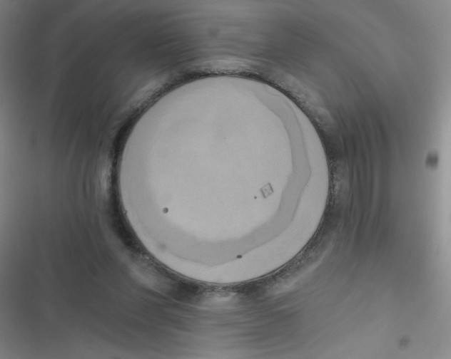 X0000116830206201001081444