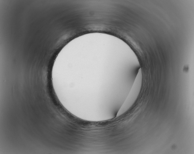 X0000116830207201001081444