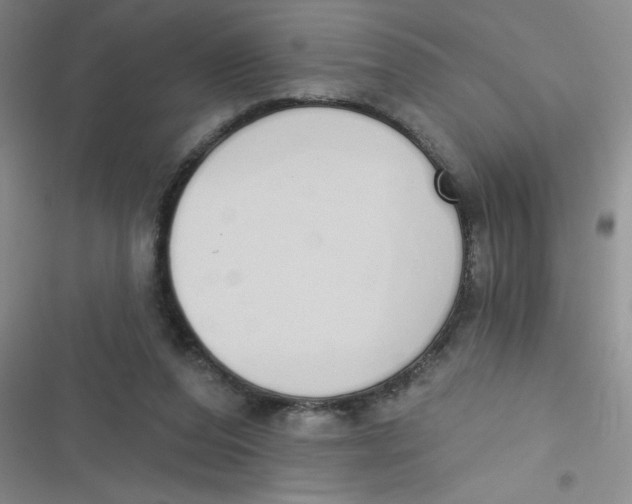 X0000116830208201001081444