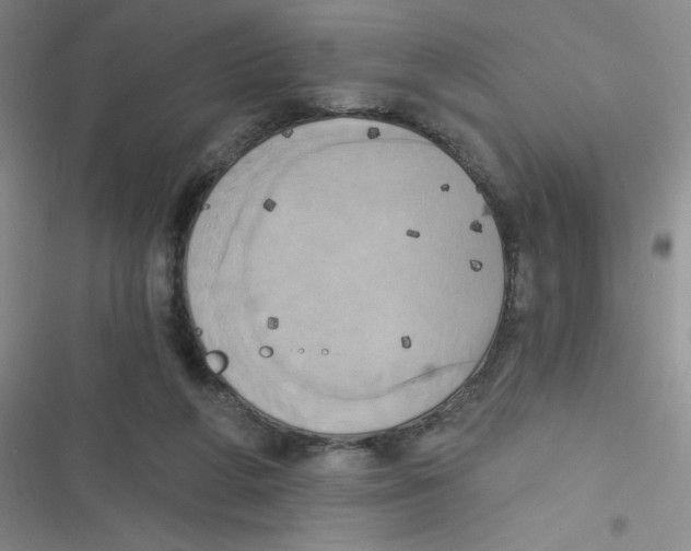 X0000116830210201001081444