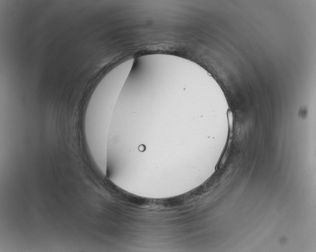 X0000116830211201001081444