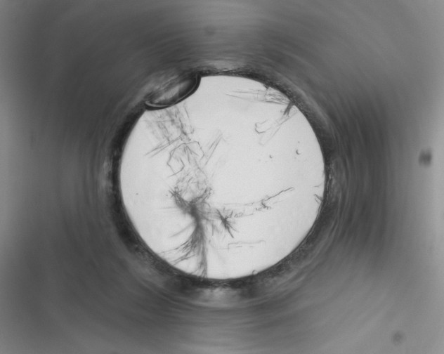 X0000116830212201001081444