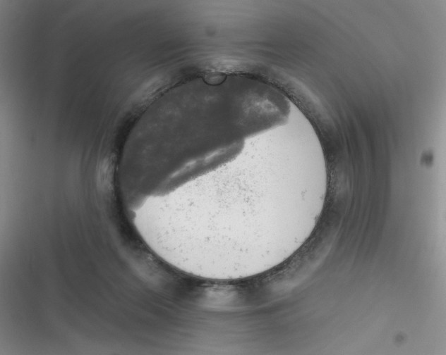 X0000116830214201001081444