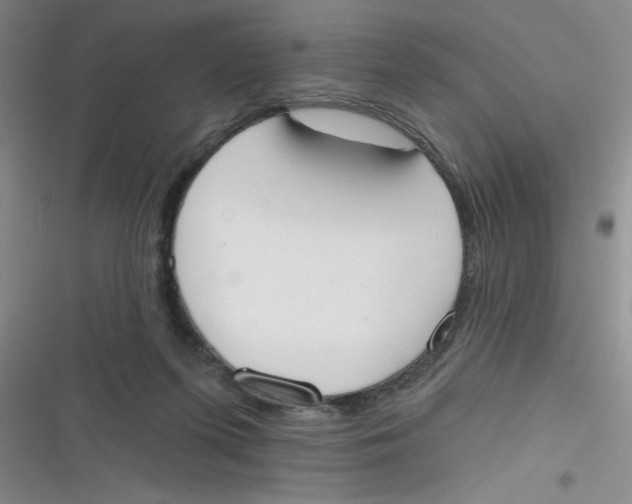 X0000116830215201001081444