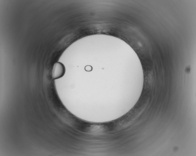 X0000116830218201001081444