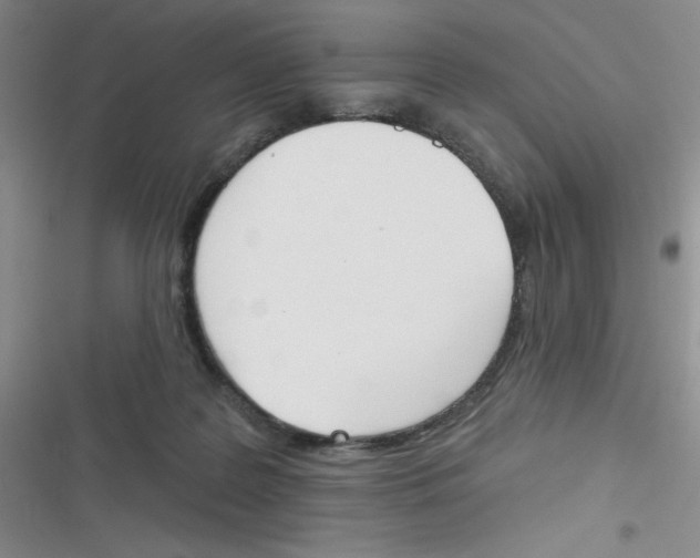 X0000116830219201001081444