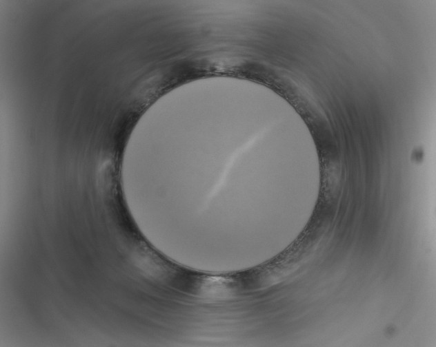 X0000116830222201001081444