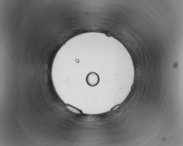 X0000116830223201001081444