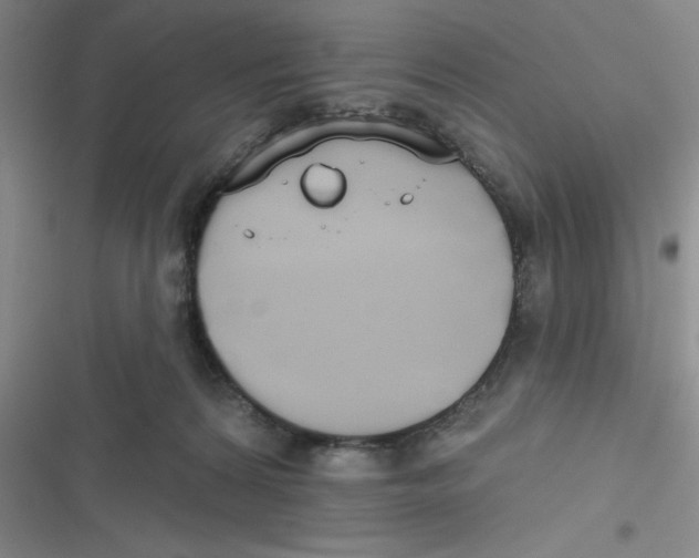 X0000116830224201001081444