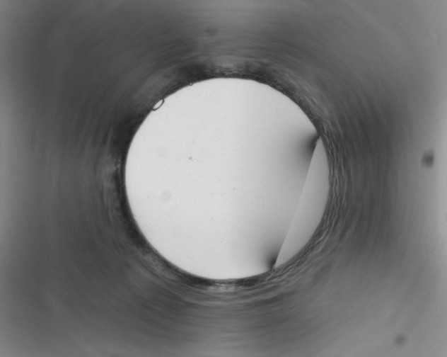 X0000116830225201001081444