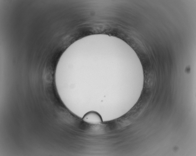 X0000116830226201001081444