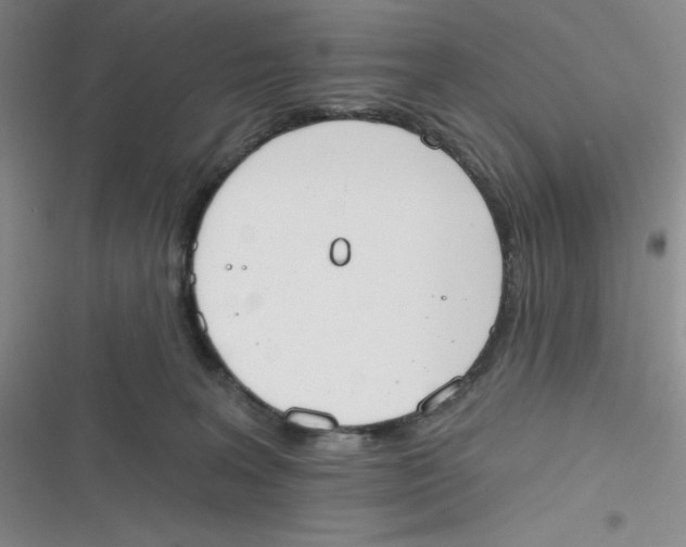 X0000116830227201001081444