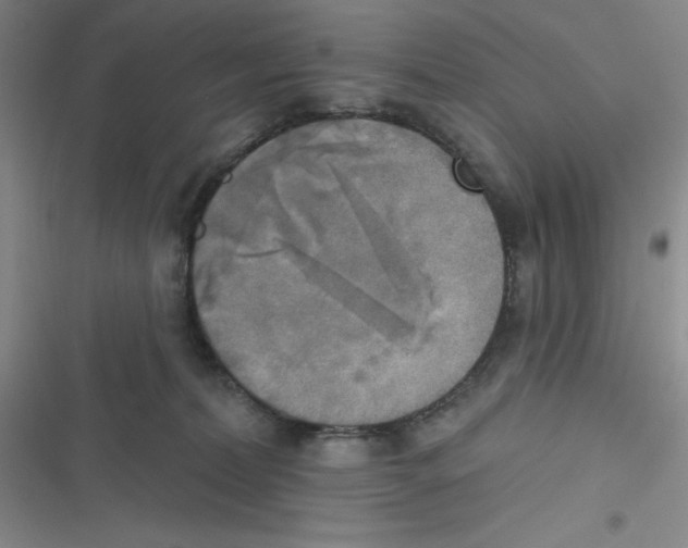 X0000116830228201001081444