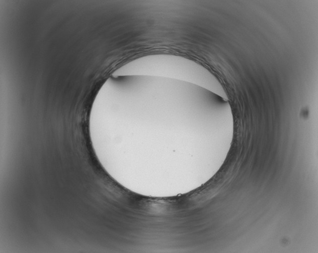 X0000116830229201001081444