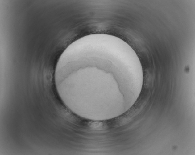 X0000116830230201001081444