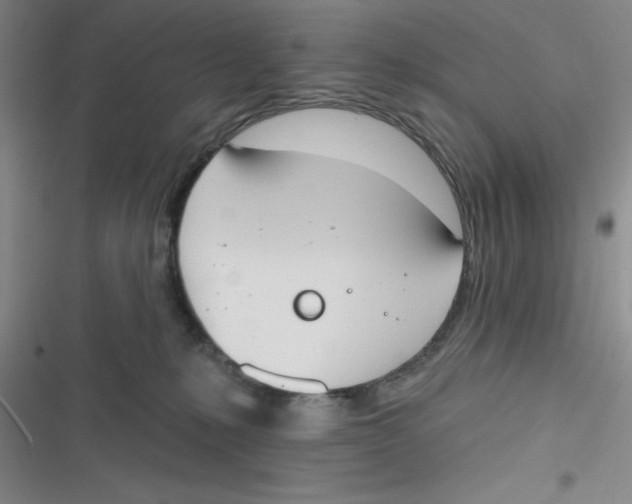 X0000116830231201001081444