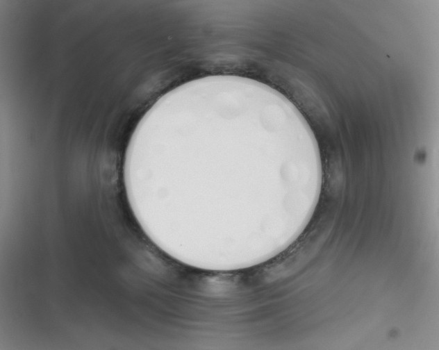 X0000116830232201001081444