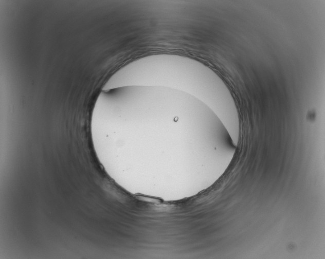 X0000116830233201001081444