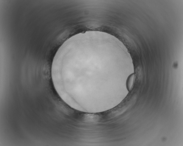 X0000116830234201001081444