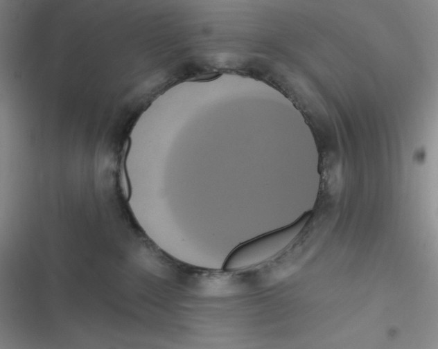 X0000116830235201001081444