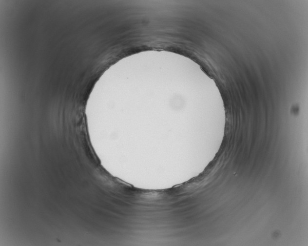 X0000116830237201001081444