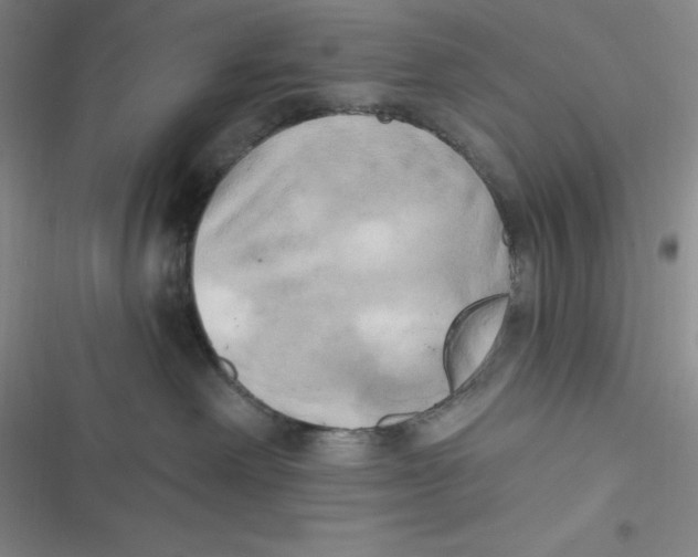 X0000116830238201001081444