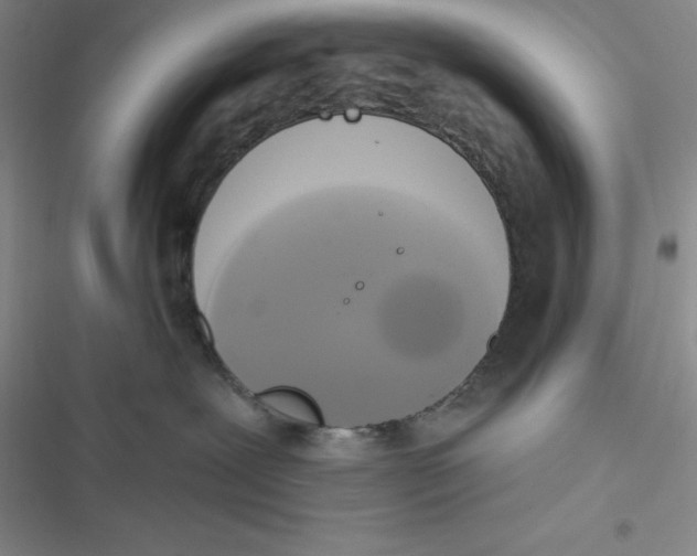 X0000116830239201001081444