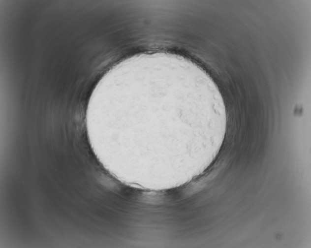 X0000116830240201001081444