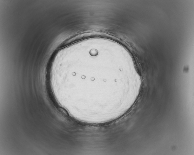 X0000116830242201001081443