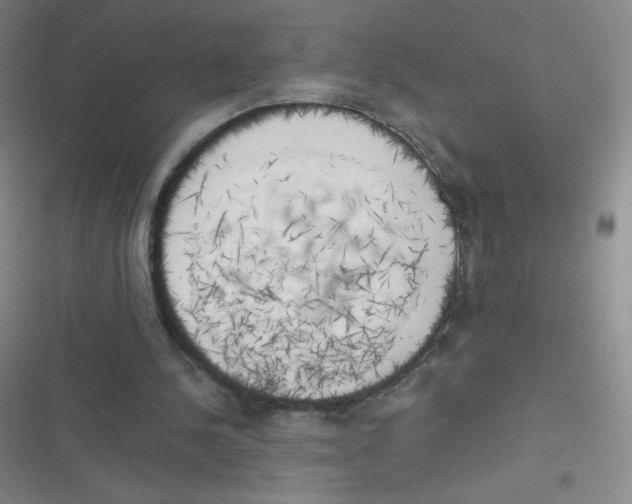 X0000116830244201001081443