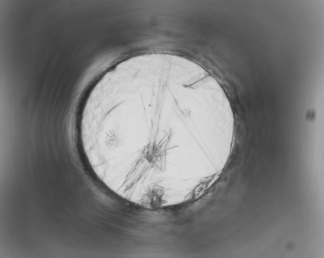 X0000116830245201001081443