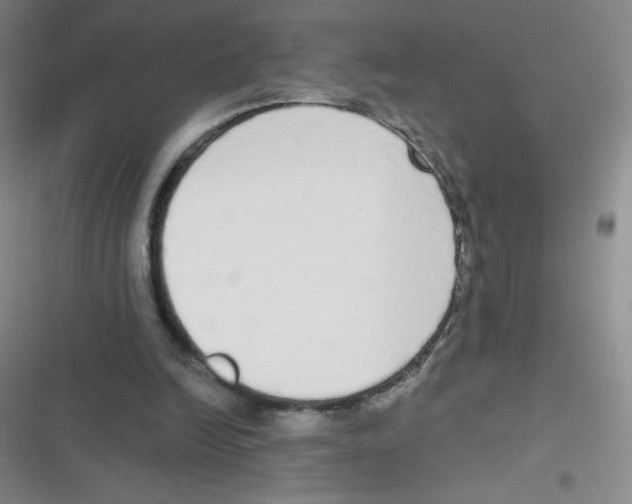 X0000116830246201001081443