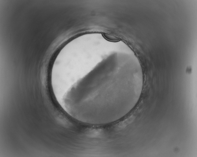 X0000116830247201001081443