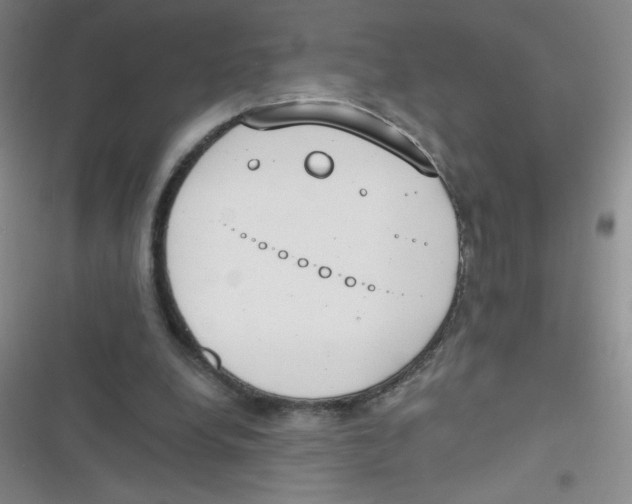 X0000116830248201001081443