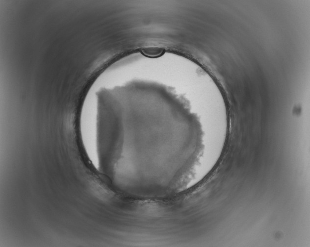 X0000116830249201001081443