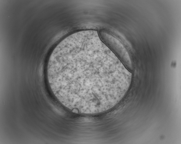 X0000116830250201001081443