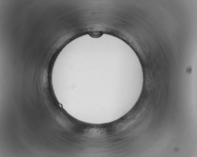 X0000116830251201001081443