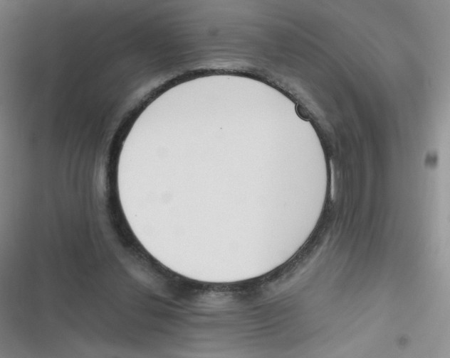 X0000116830252201001081444