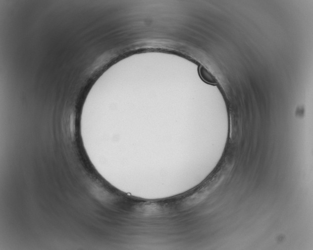 X0000116830253201001081444