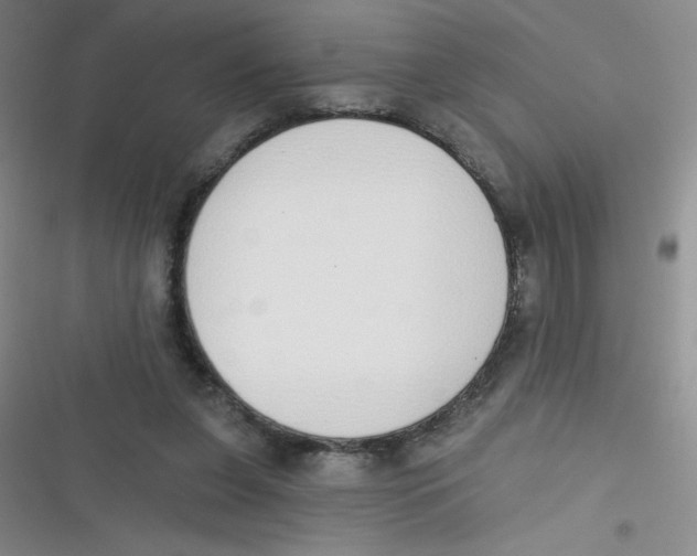 X0000116830255201001081444