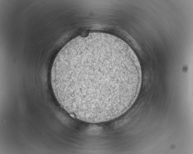 X0000116830257201001081444