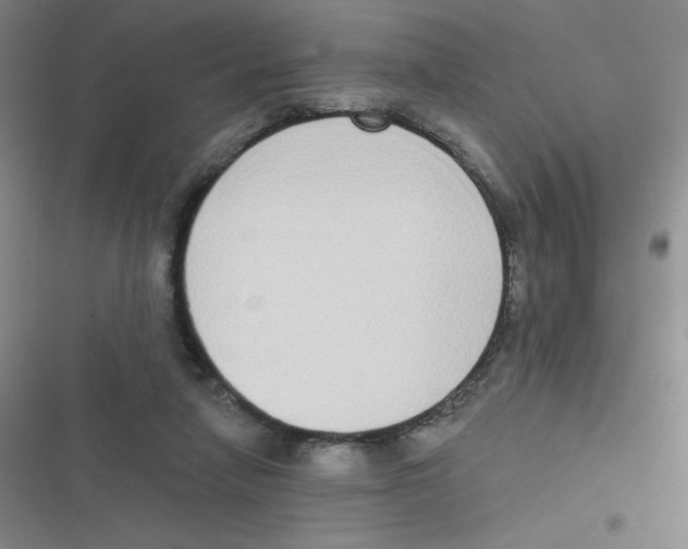 X0000116830258201001081444