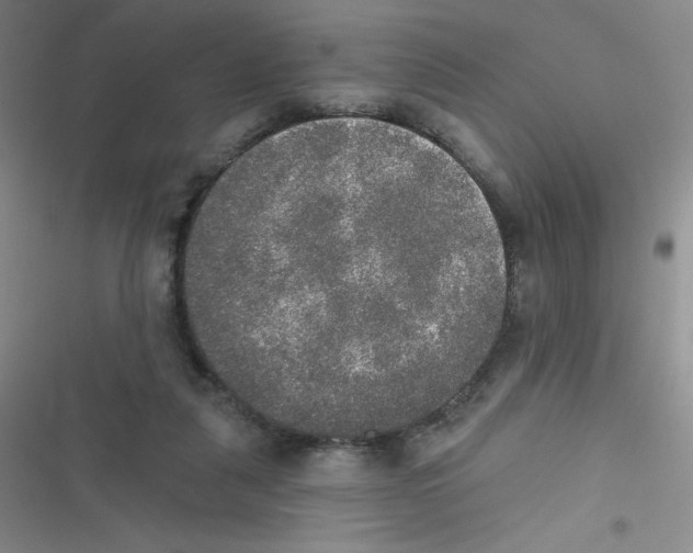 X0000116830259201001081444