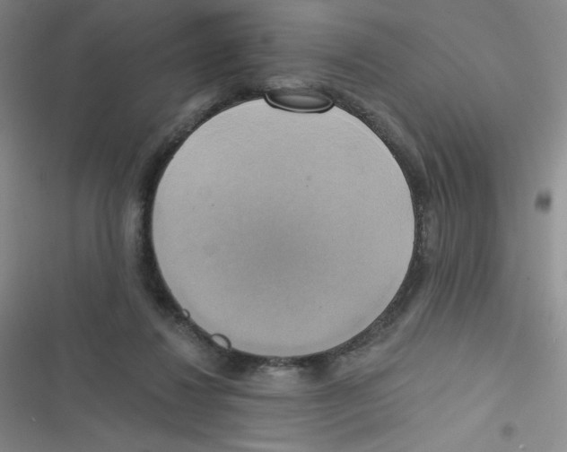 X0000116830260201001081444