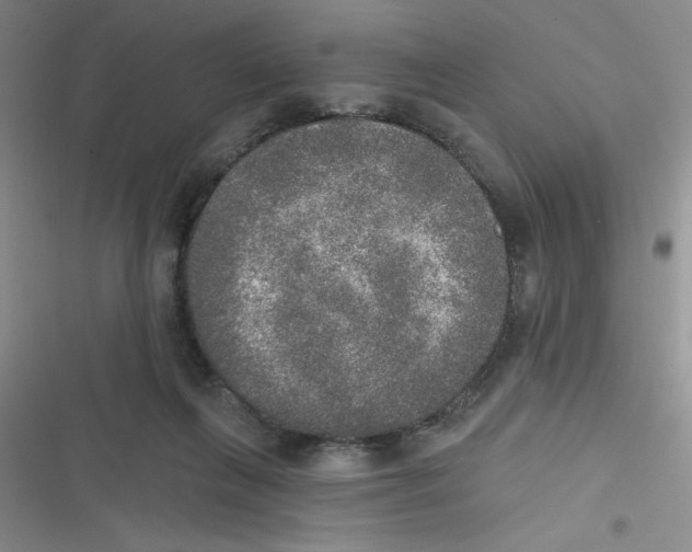 X0000116830263201001081444